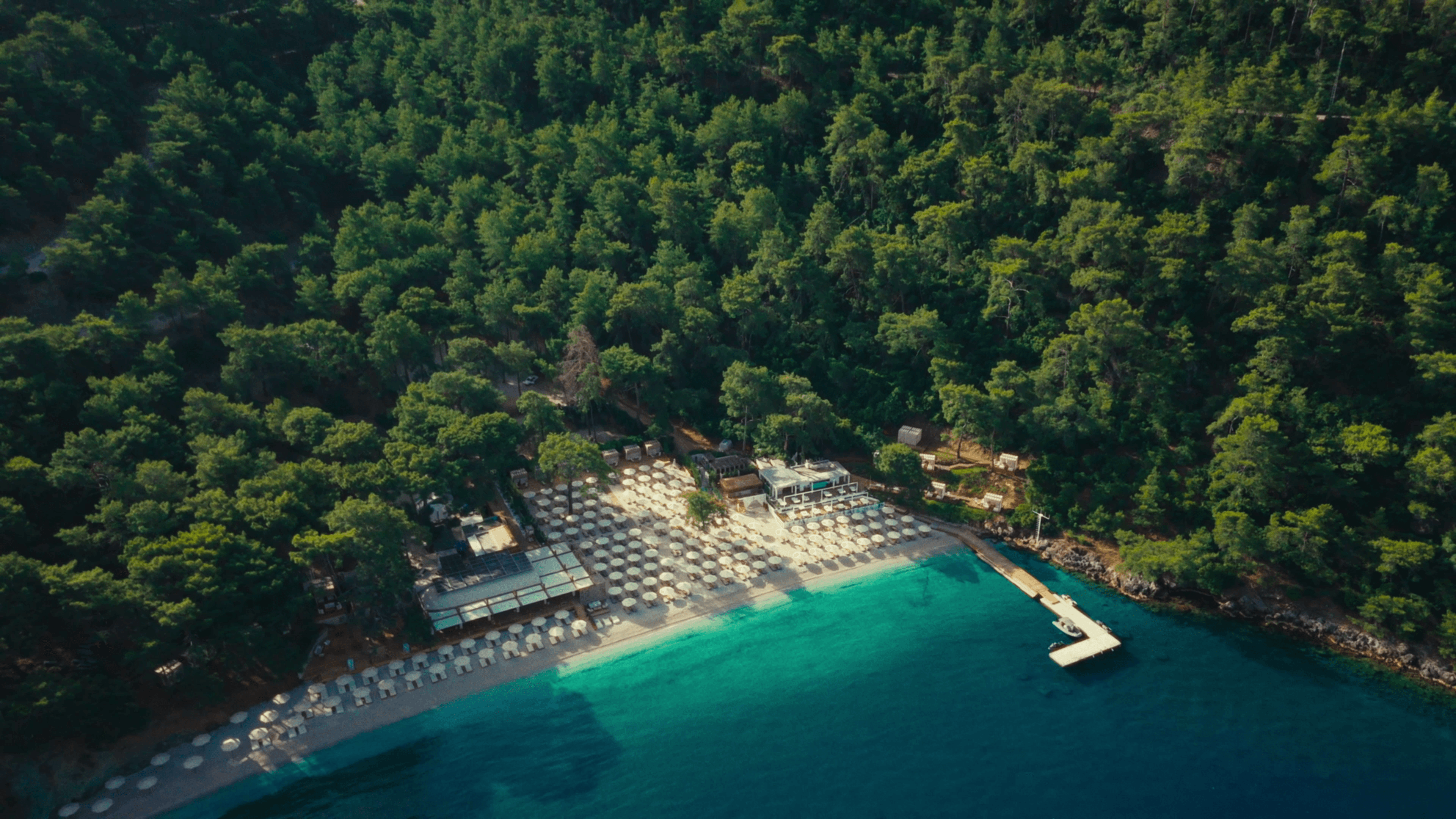 So here, So now, So love... SO BEACH detail 1